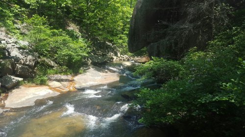 A serene stream flows through a lush green forest, surrounded by rocks and vibrant foliage.