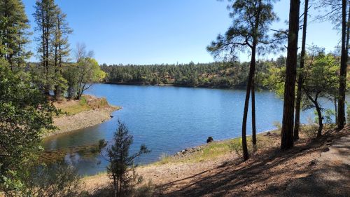 A serene lake surrounded by trees under a clear blue sky, with a small sandy shore in the foreground.