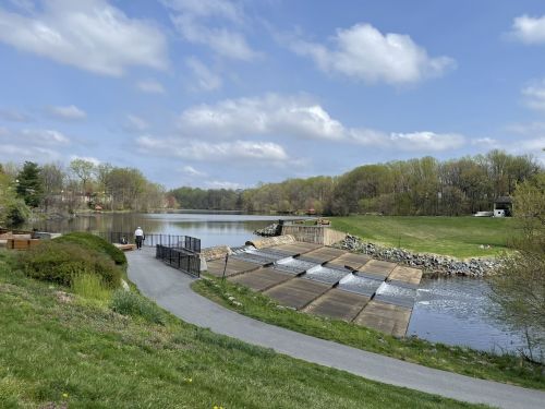 A serene park scene featuring a lake, grassy banks, and a walking path, with a person strolling by the water's edge.