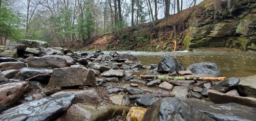 A rocky riverbank with water flowing gently, surrounded by trees and a steep, mossy hillside.