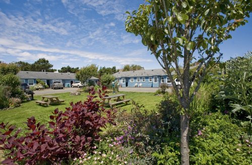 A serene garden with colorful flowers, picnic tables, and cozy blue cottages under a bright sky.