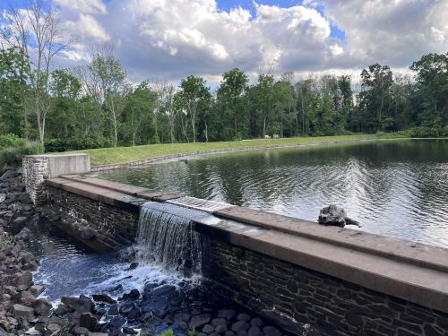 A serene landscape featuring a small waterfall flowing into a calm pond, surrounded by lush greenery and cloudy skies.