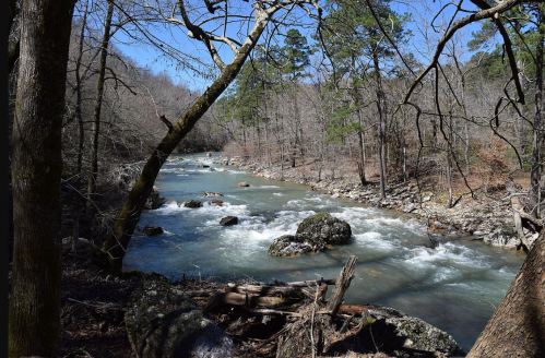 A serene river flows through a wooded area, surrounded by bare trees and rocky banks under a clear blue sky.