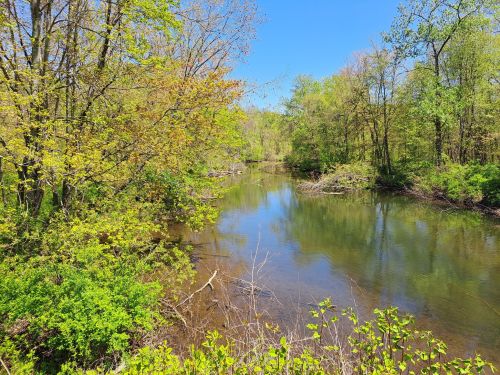 A serene river flows through a lush green landscape, surrounded by trees and bright blue skies.