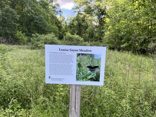 Sign for Louise Sayen Meadow, featuring a butterfly and surrounded by lush greenery in a natural setting.