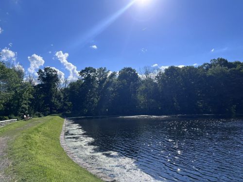 A serene lake surrounded by lush greenery under a bright blue sky with fluffy clouds. Sunlight reflects on the water.