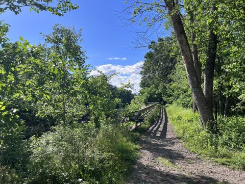 A sunny path lined with trees and greenery, leading to a wooden railing beside a river or stream.