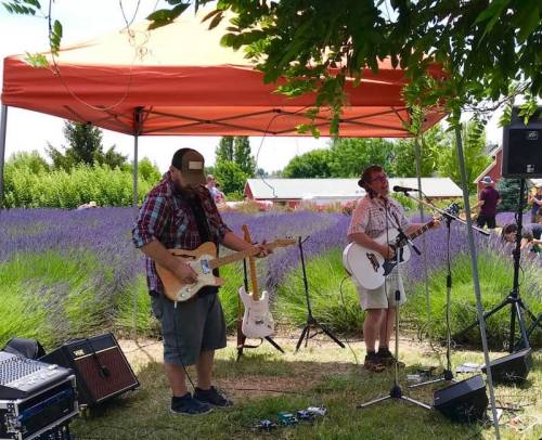 Two musicians perform under an orange tent, surrounded by blooming lavender fields on a sunny day.