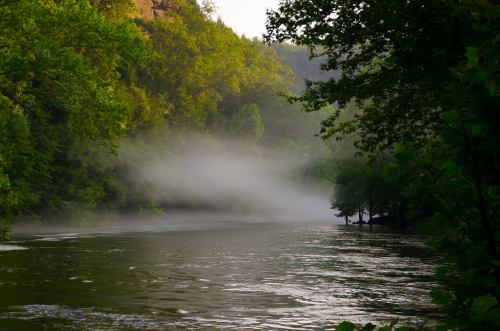 A serene river surrounded by lush greenery and mist, creating a tranquil and peaceful atmosphere.