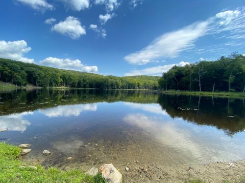 A serene lake surrounded by lush green trees, reflecting the blue sky and fluffy clouds above.