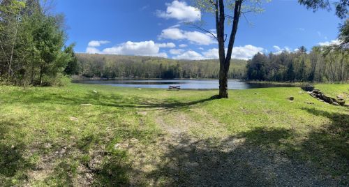 A serene lake surrounded by greenery and trees, with a clear blue sky and fluffy clouds above.