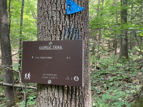 Trail sign for Gorge Trail, indicating direction to Felton Pond, with a blue trail marker on a tree in a wooded area.