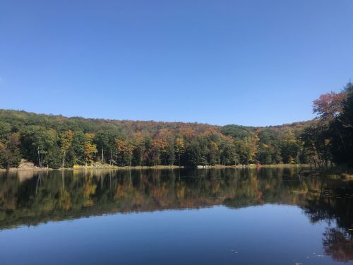 A serene lake reflecting colorful autumn trees under a clear blue sky.