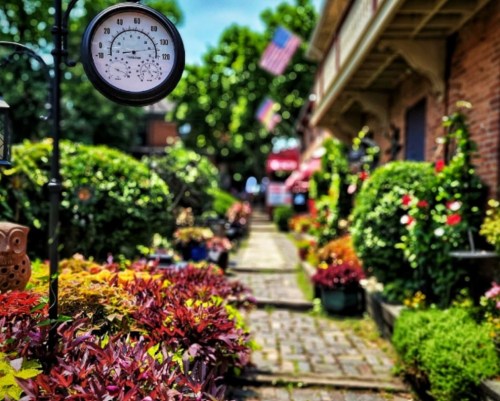 A vibrant garden path lined with colorful plants and a thermometer, with flags and buildings in the background.