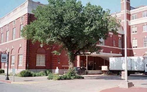 A large tree stands in front of a red brick building with a covered entrance and a delivery truck nearby.