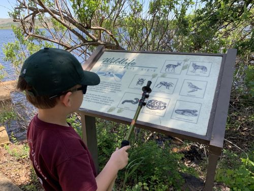 A child in a cap examines a wildlife information sign by a lake, pointing with a stick at various animal illustrations.