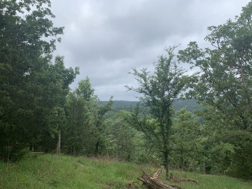 A lush green landscape with trees and a cloudy sky, overlooking a distant hilly view.