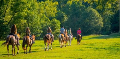 A group of people riding horses along a grassy path, surrounded by trees in a sunny landscape.