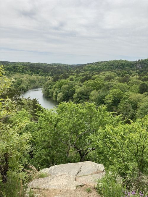 A scenic view of a river winding through lush green trees under a cloudy sky.