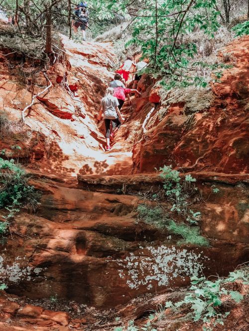 A group of hikers ascending a rocky, sunlit trail surrounded by greenery and red soil.