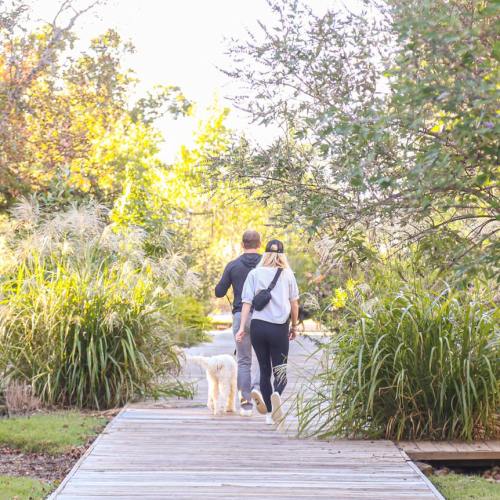 A couple walks hand in hand along a wooden path surrounded by lush greenery and sunlight. A dog accompanies them.