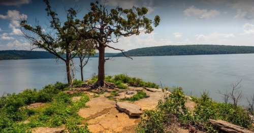 A serene lakeside view featuring a rocky shore, lush greenery, and a solitary tree against a blue sky.