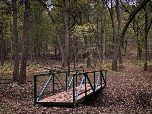 A small wooden bridge surrounded by trees and fallen leaves in a serene forest setting.