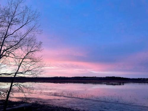 A serene lake at sunset, with pink and purple skies reflecting on the water and a bare tree silhouette in the foreground.