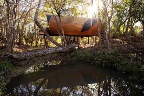 A modern wooden structure nestled among trees, reflecting in a calm stream under soft sunlight.