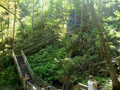 A winding wooden staircase through a lush green forest, with people walking along the path. Sunlight filters through the trees.
