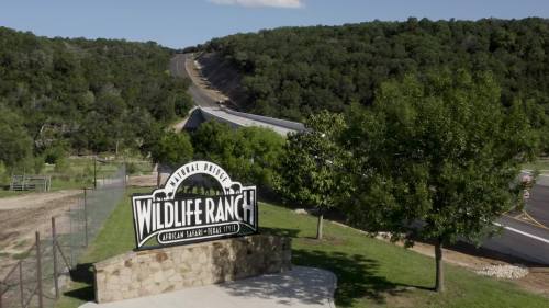 Sign for Natural Bridge Wildlife Ranch, surrounded by greenery and hills, with a road leading into the distance.
