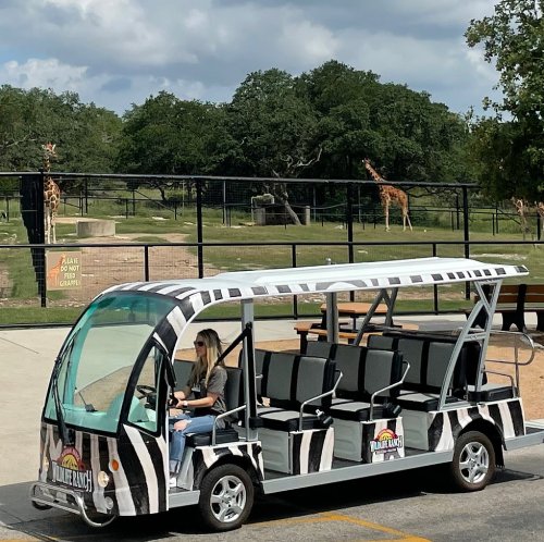 A safari-style vehicle parked with a person inside, giraffes visible in the background under a cloudy sky.