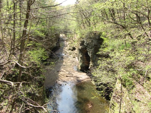 A serene landscape featuring a narrow creek winding through rocky terrain, surrounded by lush green trees.