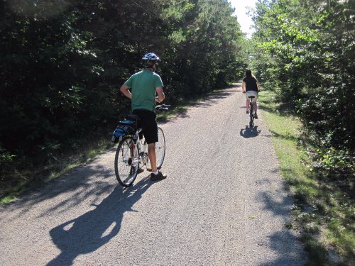 Two cyclists riding on a gravel path surrounded by trees on a sunny day.