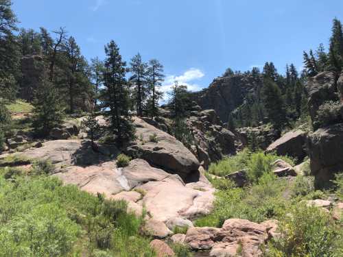 A rocky landscape with green vegetation, tall trees, and a clear blue sky in the background.