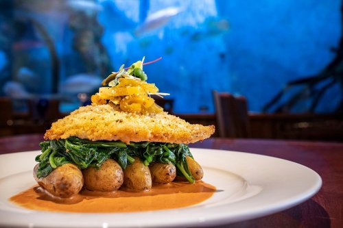 A gourmet dish featuring crispy fish atop spinach and baby potatoes, garnished with vegetables, against an aquarium backdrop.
