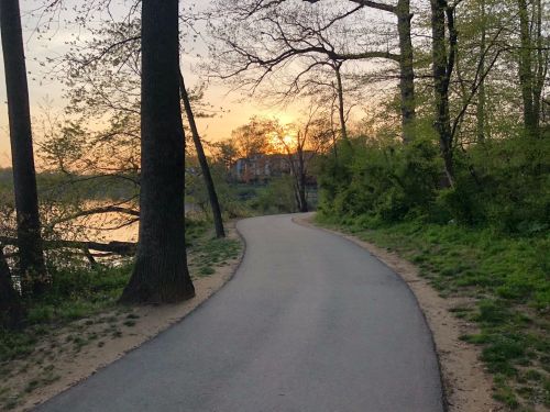 A winding path beside a lake at sunset, framed by trees and greenery, with a glimpse of buildings in the background.