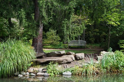 A serene park scene featuring a wooden bench by a pond, surrounded by lush greenery and rocks.