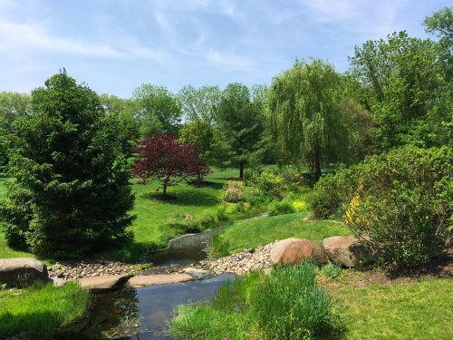 Lush green park with trees, a small stream, and colorful shrubs under a clear blue sky.