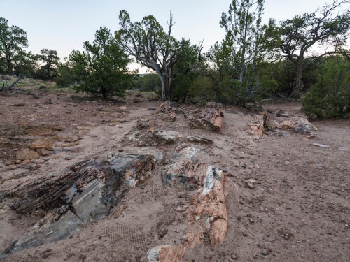 A rocky landscape with scattered boulders and sparse vegetation under a clear sky.