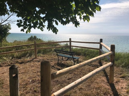 A bench surrounded by a wooden fence overlooks a serene lake under a clear sky. Green grass and trees frame the scene.