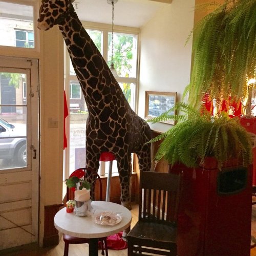 A tall giraffe statue stands in a cozy café, surrounded by plants and furniture, creating a whimsical atmosphere.