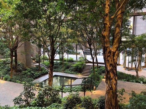 Lush green garden with trees, plants, and a small pond, surrounded by modern architecture and pathways.