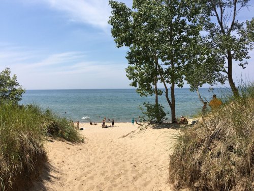 A sandy path leads to a beach with people enjoying the sun and water, framed by green trees and a clear blue sky.