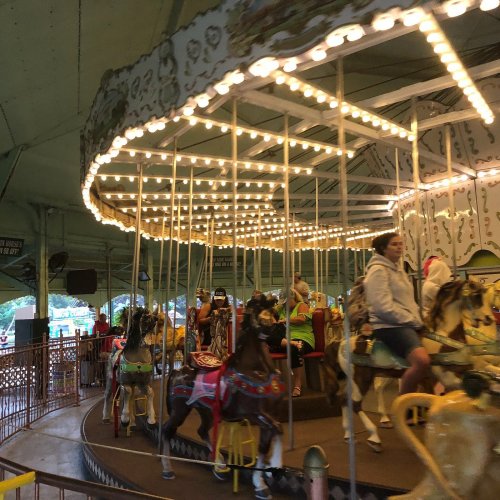 A carousel with brightly lit horses, featuring riders enjoying the ride in a festive setting.