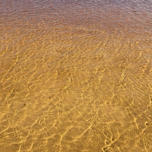 Clear water with gentle ripples, revealing a sandy bottom beneath the surface.