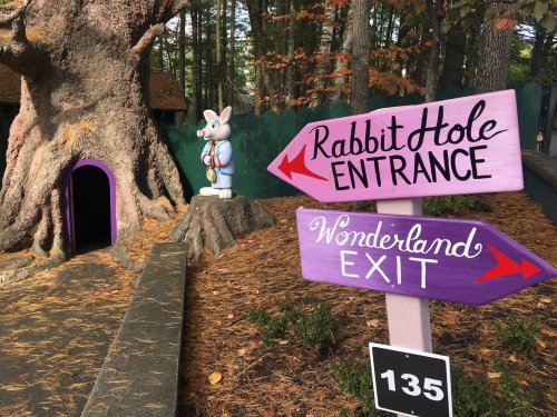 A whimsical scene featuring a tree with a rabbit statue, directing to a "Rabbit Hole Entrance" and "Wonderland Exit."