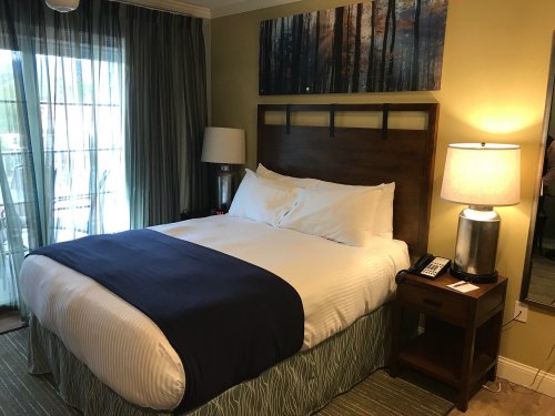 Cozy hotel room featuring a queen bed, bedside table, lamp, and large window with curtains. Forest artwork on the wall.