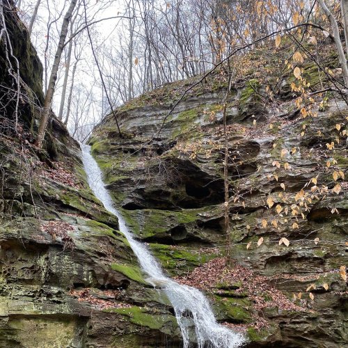 A small waterfall cascades down a moss-covered rock face, surrounded by bare trees and autumn leaves.