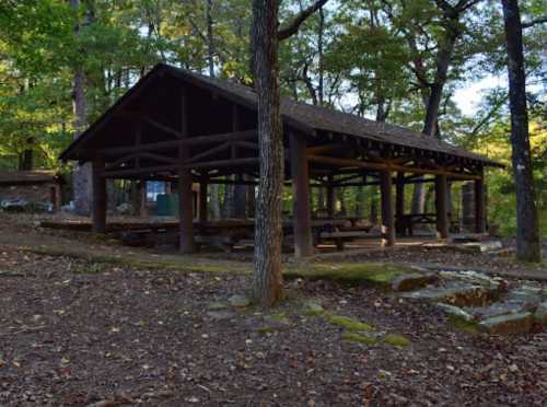 A wooden picnic shelter surrounded by trees in a forested area, with stone pathways and picnic tables underneath.